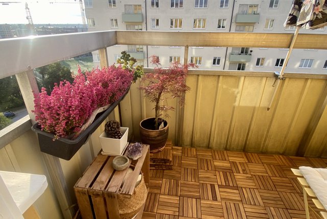 Stadshagsplan 6, Stockholm - bild 4