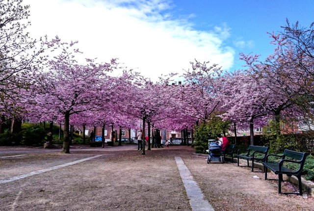 Furutorpsgatan 43, Helsingborg - bild 4