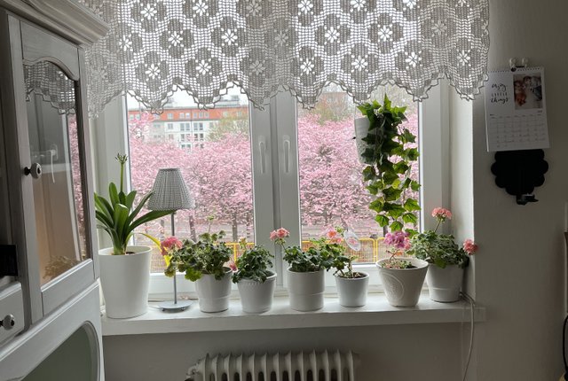 Furutorpsgatan 43, Helsingborg - bild 1