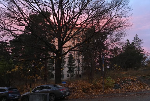 ,  - bild 6