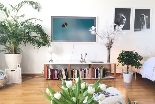 Kapellgränd 3, Stockholm - bild 1