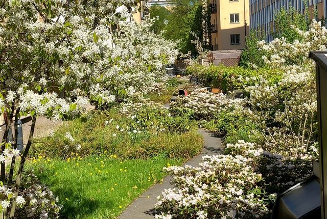 Kapellgränd 3, Stockholm - bild 5