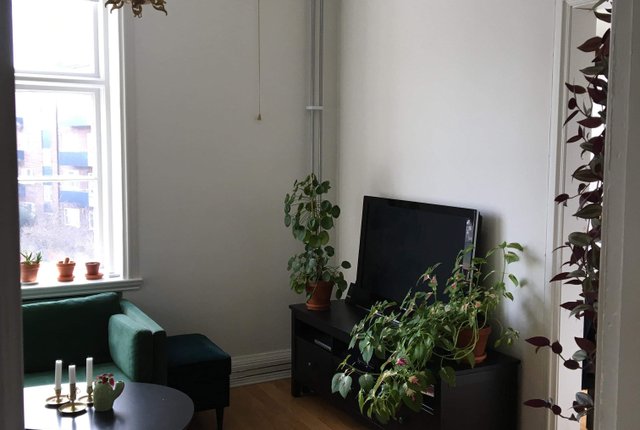 Tullgatan 5B, Lund - bild 7