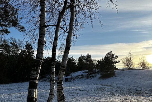 Sisjöbäckens Väg 30, Askim - bild 8