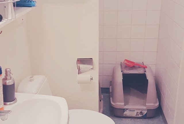 Rörsjögatan 13, Malmö - bild 3