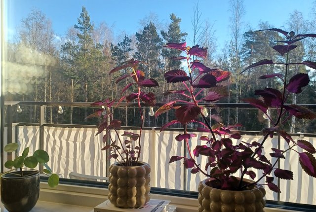 Hjärtstensvägen 5, Kungsängen - bild 1