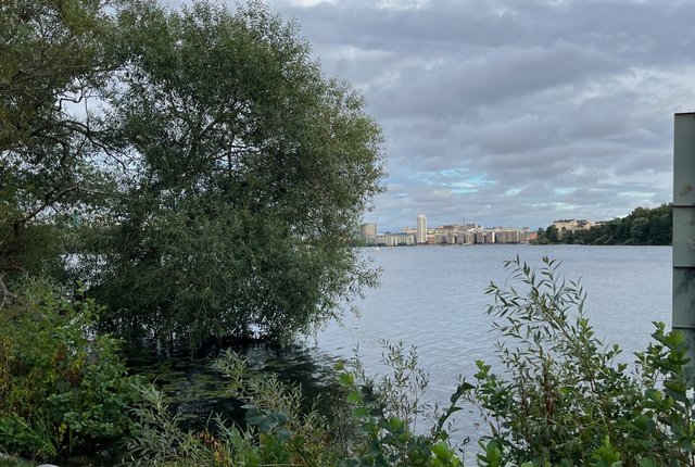Ståltrådsvägen 29, Bromma - bild 2