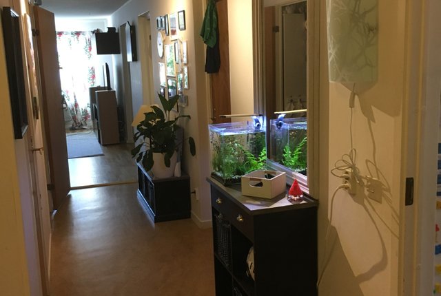 Koriandergränd 4, Tyresö - bild 1