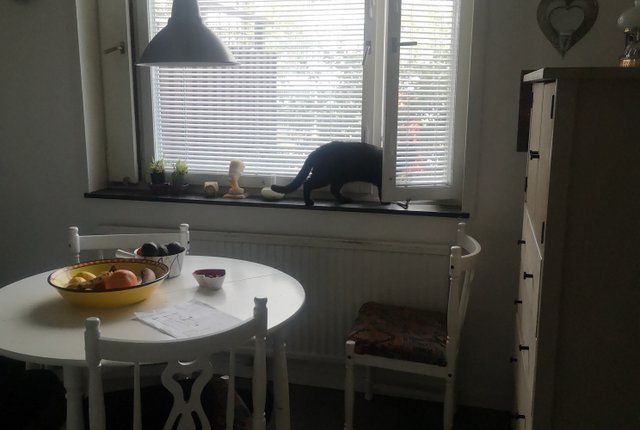 Byälvsvägen 199, Bagarmossen - bild 6