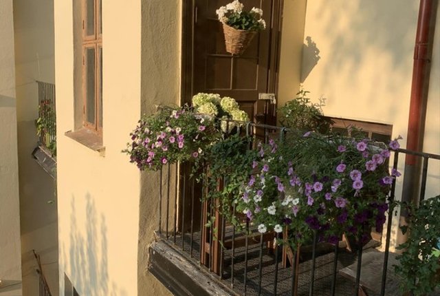 Järnvägsgatan 31, Landskrona - bild 2
