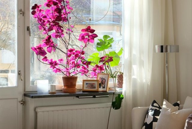 Brantingsgatan 29, Stockholm - bild 1