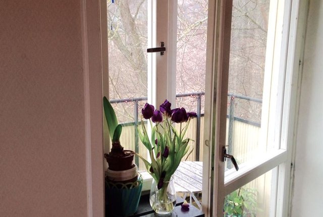 , Stockholm - bild 3