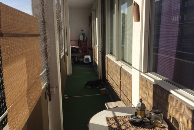 Sorgenfrivägen 27, Malmö - bild 7