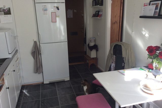 Sorgenfrivägen 27, Malmö - bild 2