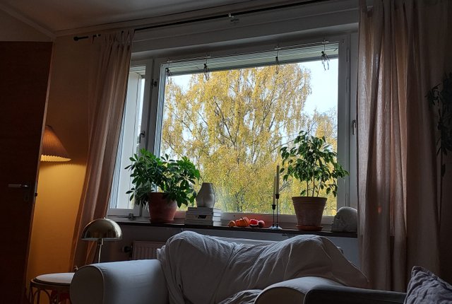 Skebokvarnsvägen 324, Bandhagen - bild 1