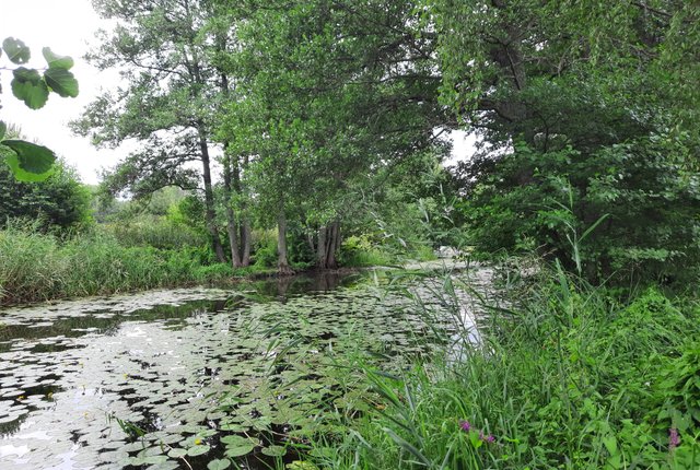 Lommarvägen 21, Norrtälje - bild 2