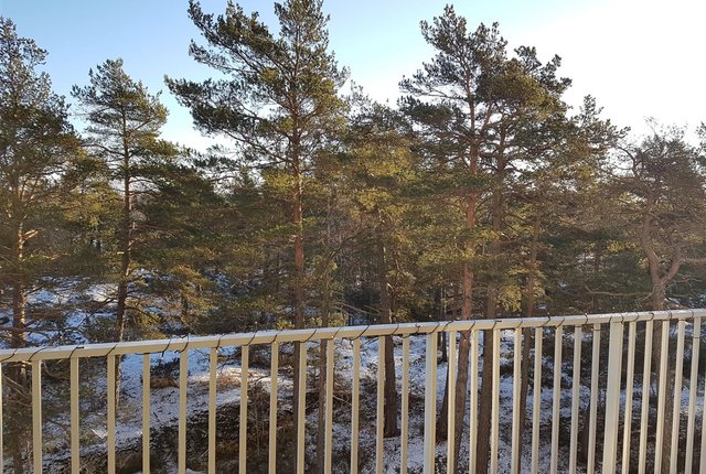 Oxelbacken 1, Älta - bild 7