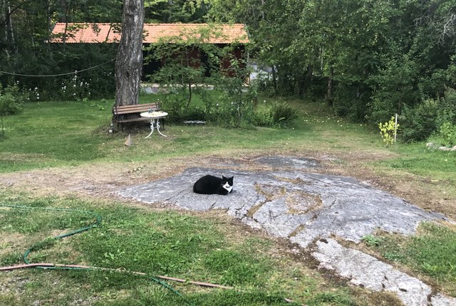 Runsavägen, Upplands Väsby - bild 7