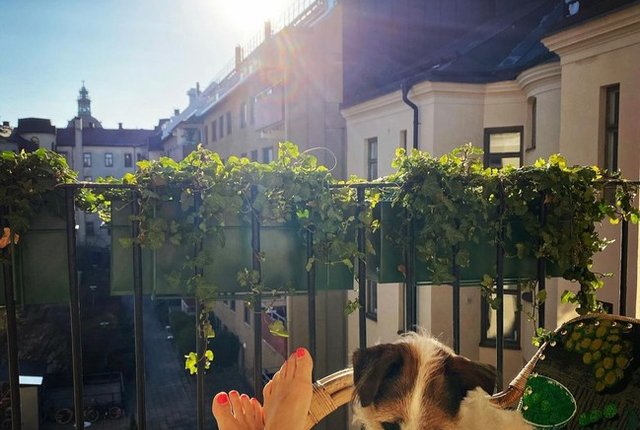 Hagagatan 3, Stockholm - bild 4