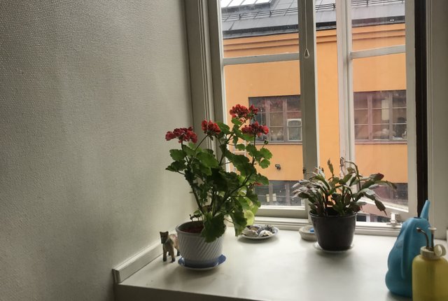 Svartensgatan 22, Stockholm - bild 6
