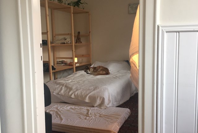 Råsundavägen 51, Solna - bild 7