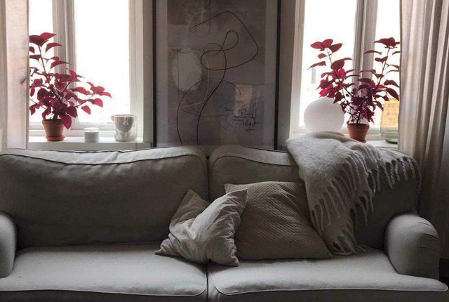 Badhusgatan 14, Halmstad - bild 5