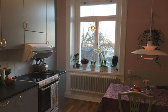 Åsögatan 202, Stockholm - bild 6