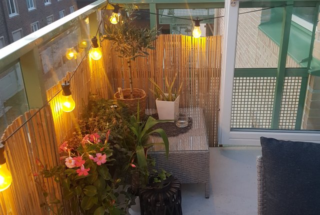 Arkivgatan 7f, Lund - bild 2