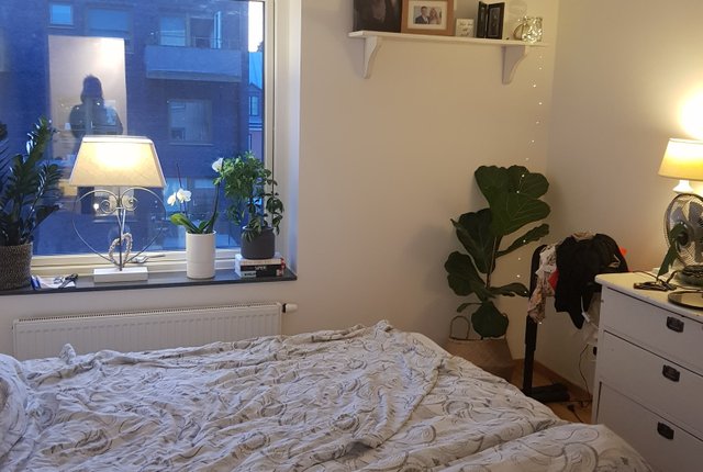 Arkivgatan 7f, Lund - bild 4