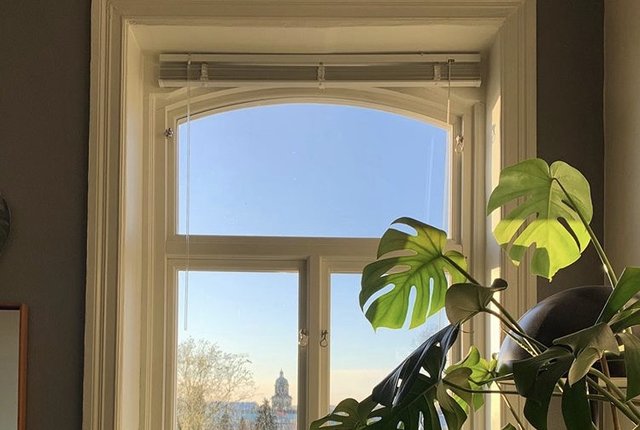 Storgatan 24, Göteborg - bild 6