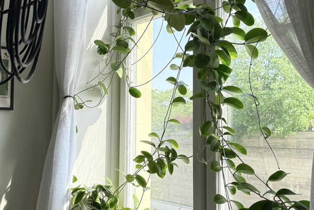 Drottninggatan 40A, Örebro - bild 4