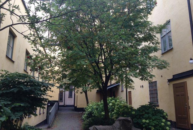 Bryggargatan 8A, Stockholm - bild 1