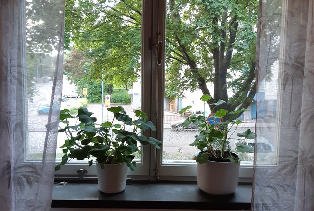 Friluftsvägen 26, Sundbyberg - bild 5