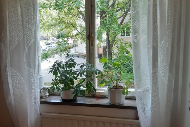 Friluftsvägen 26, Sundbyberg - bild 6