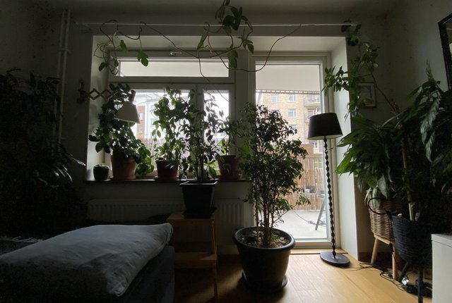 Skeppsmäklargatan 55, Stockholm - bild 1