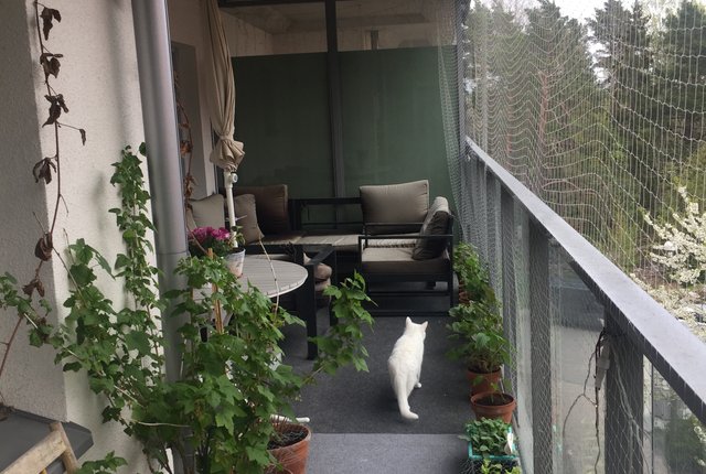 Vaniljvägen 15, Farsta - bild 2