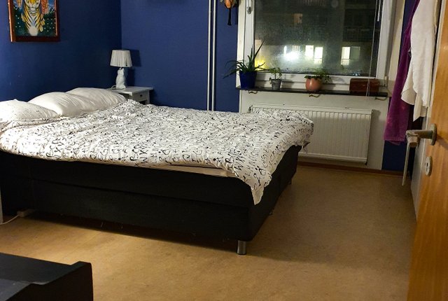Friisgatan 18, Malmö - bild 6