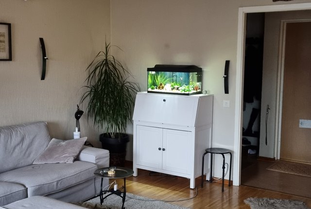 Stora Trädgårdsgatan 20, Malmö - bild 2
