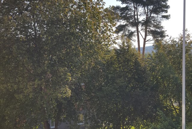 Dalagatan 3, Frösön - bild 4