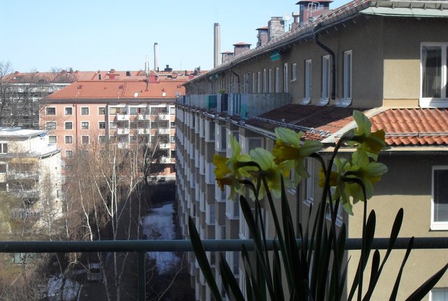 Strindbergsgatan 32, Stockholm - bild 7