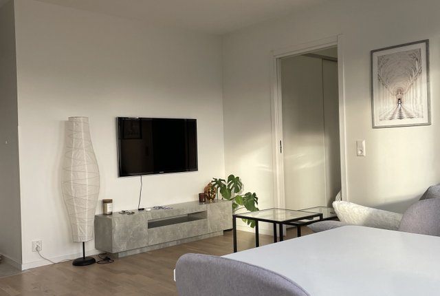 Västra Rönneholmsvägen 41, Malmö - bild 8