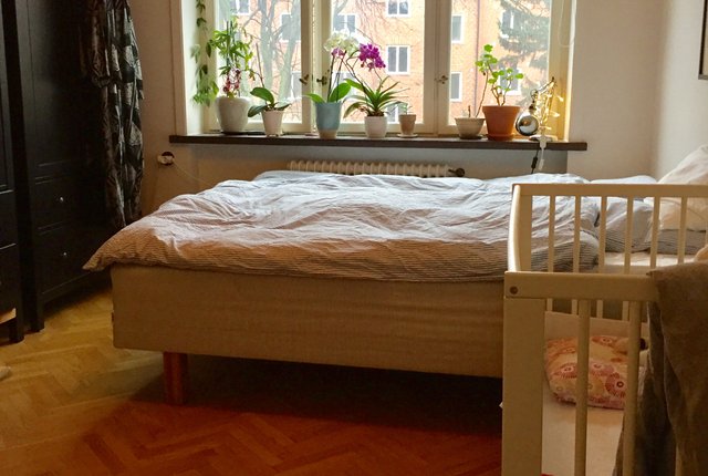 Amiralsgatan 52, Malmö - bild 4