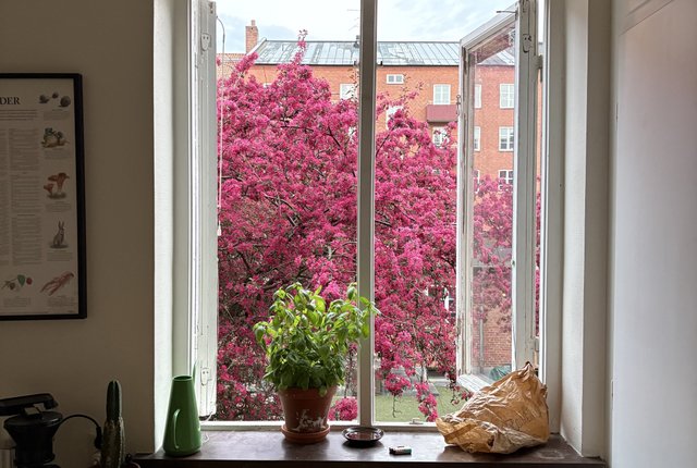 Hantverkaregatan 13B, Malmö - bild 2