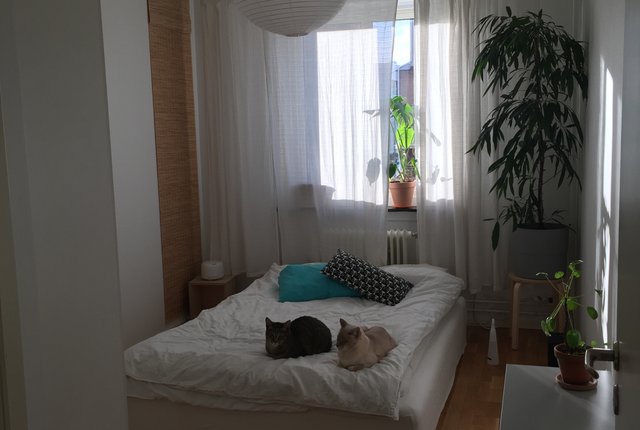 Hårdvallsgatan 7, Göteborg - bild 7
