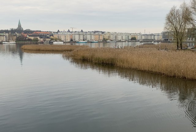 Hammarby allé 34, Stockholm - bild 4