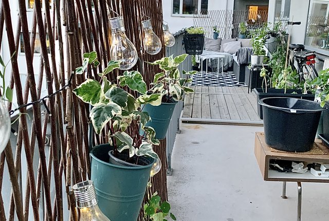 Hammarby allé 34, Stockholm - bild 2