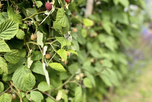 Bagarfruvägen 107, Sköndal - bild 4