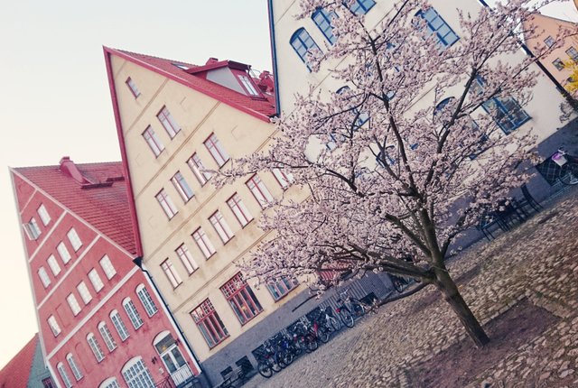 Köpmannagatan 16, Hjärup - bild 2