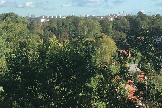Kamrerarvägen 22, Hägersten - bild 6