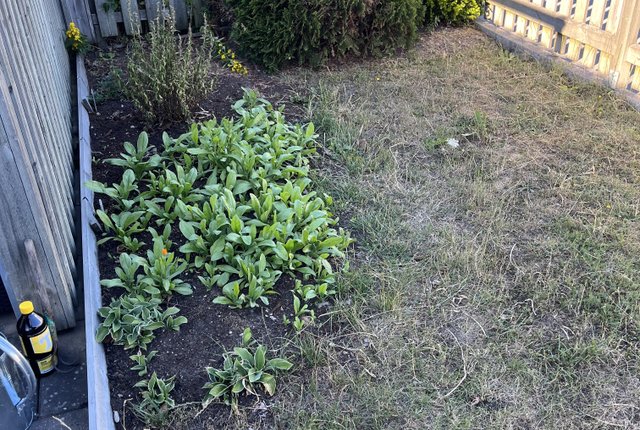 Smitterbergsvägen 15, Klintehamn - bild 3